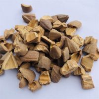 橄欖殼顆粒磨料2#